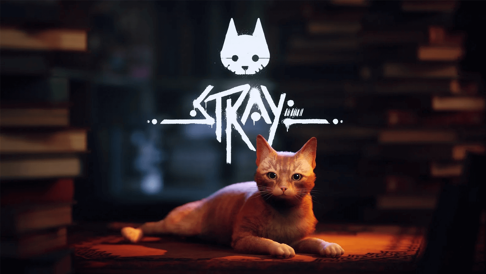 [Review] Stray